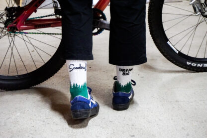 Senderella Socks - Image 2